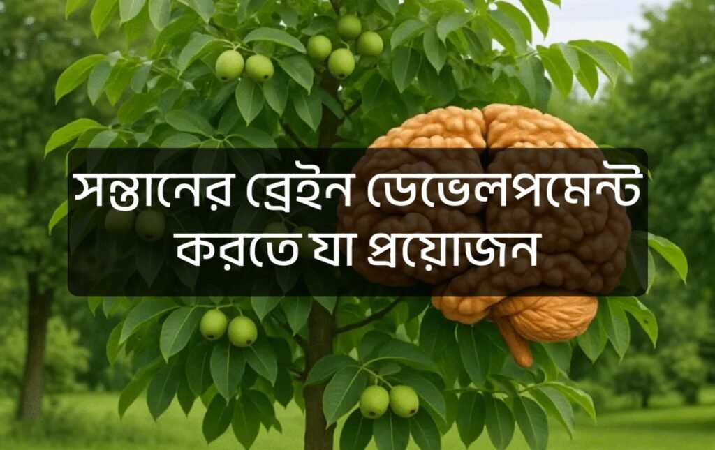 সন্তানের ব্রেইন ডেভেলপমেন্ট করতে যা প্রয়োজন