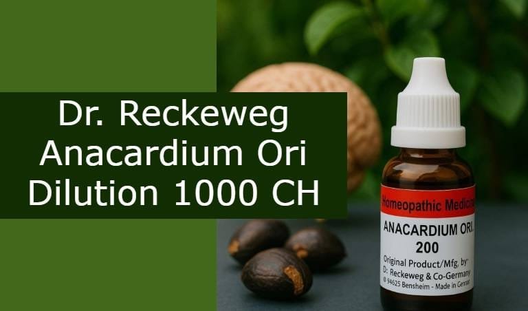 Dr. Reckeweg Anacardium Ori Dilution 1000 CH