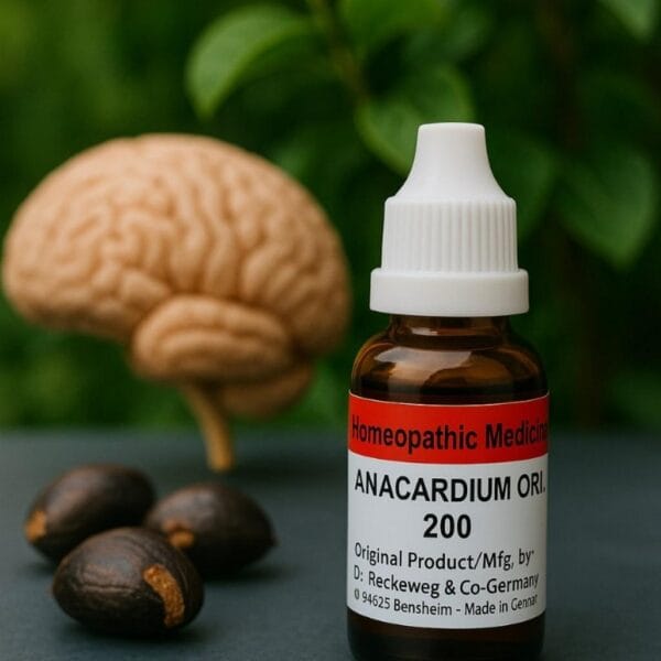 Dr. Reckeweg Anacardium Ori Dilution 6 CH
